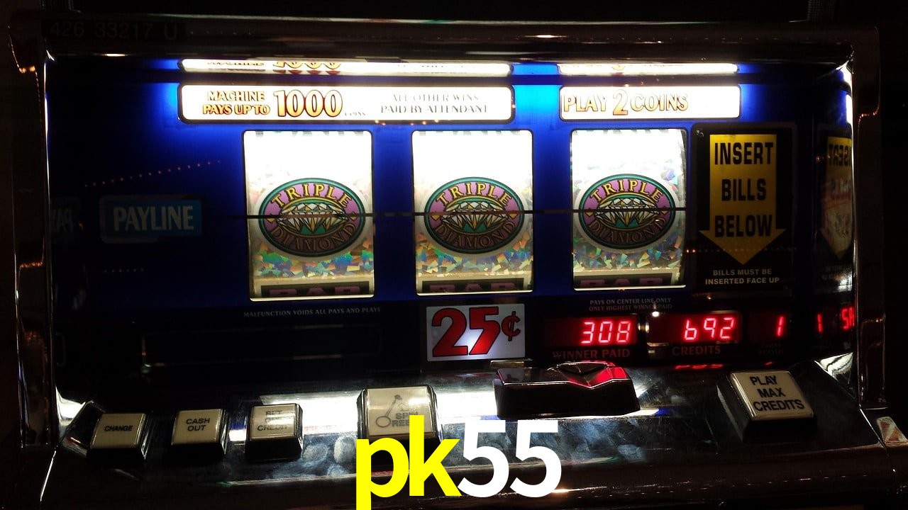 Experiência VIP pk55