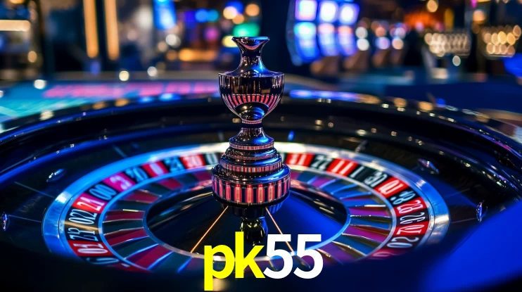 pk55 App Interface
